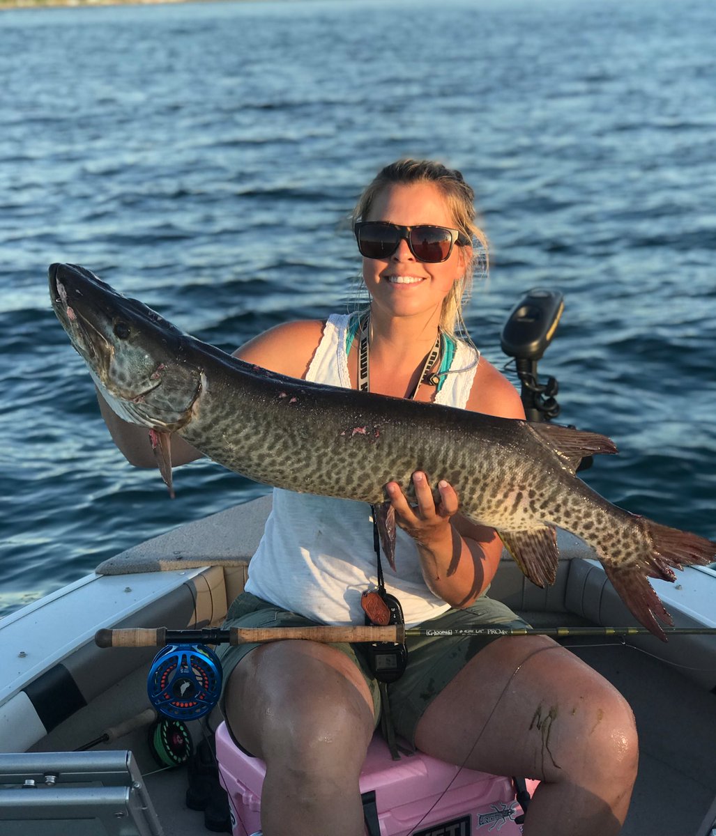 Musky on the fly ! #flyfishing @FishGLoomis
