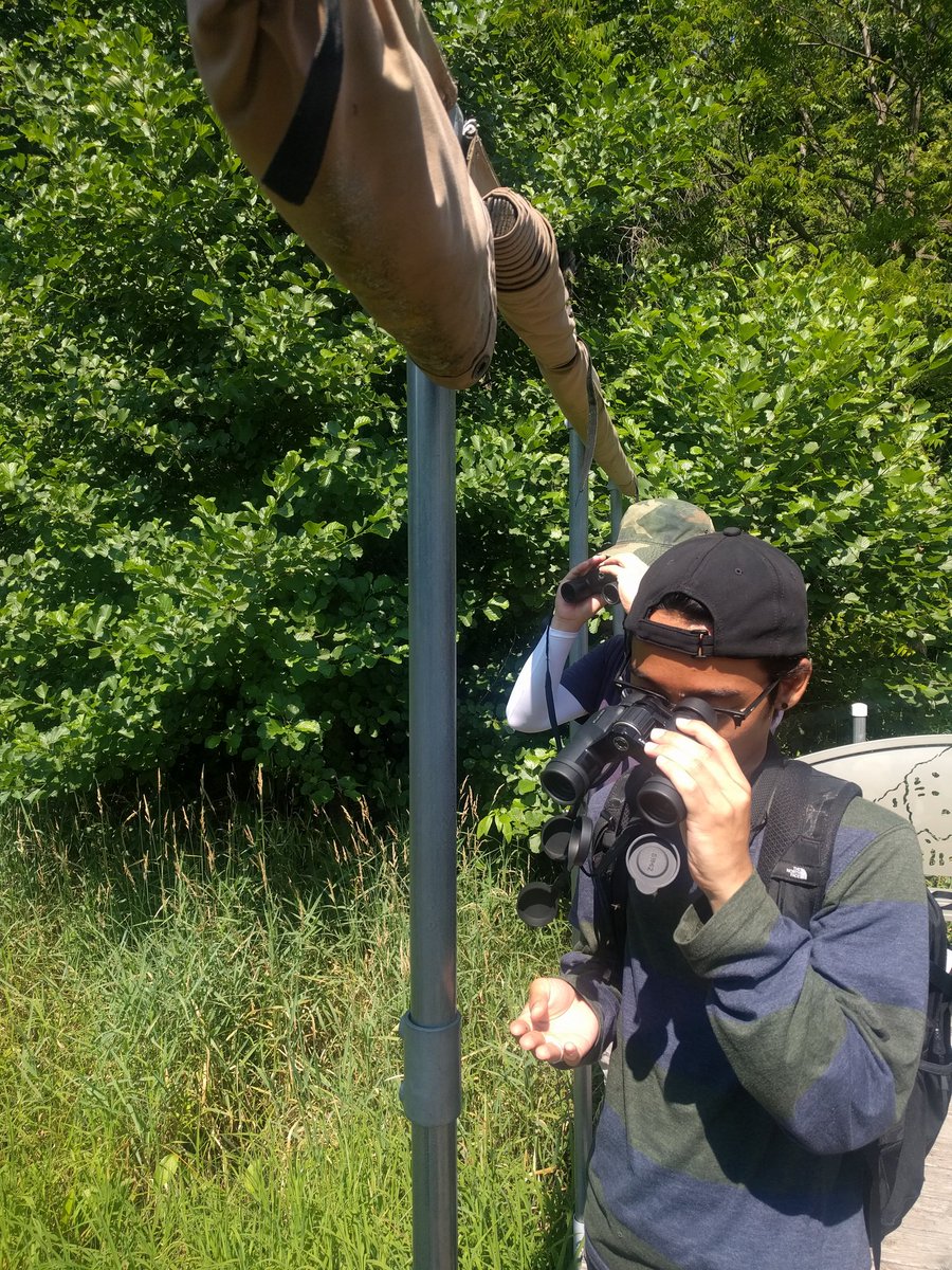 verawp's tweet photo. Bird identification is not easy, but we loved trying out the @Cornell @MerlinBirdID app to help us out! #ecofieldcourse2018 @NelsonInstitute @UWMadScience @AshraftAhmady @creekthinker https://t.co/sc7EinxM4x