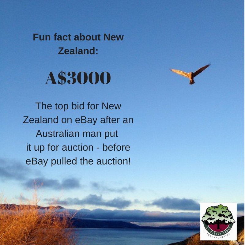 TeWanakaLodge's tweet photo. Fun fact you never knew about New Zealand. Australia once tried to sell us on eBay!!??

#funfacts #tewanakalodge #lovewanaka #wanakabedandbreakfast #wanakaholiday #staywithus https://t.co/ugjryTlnGI