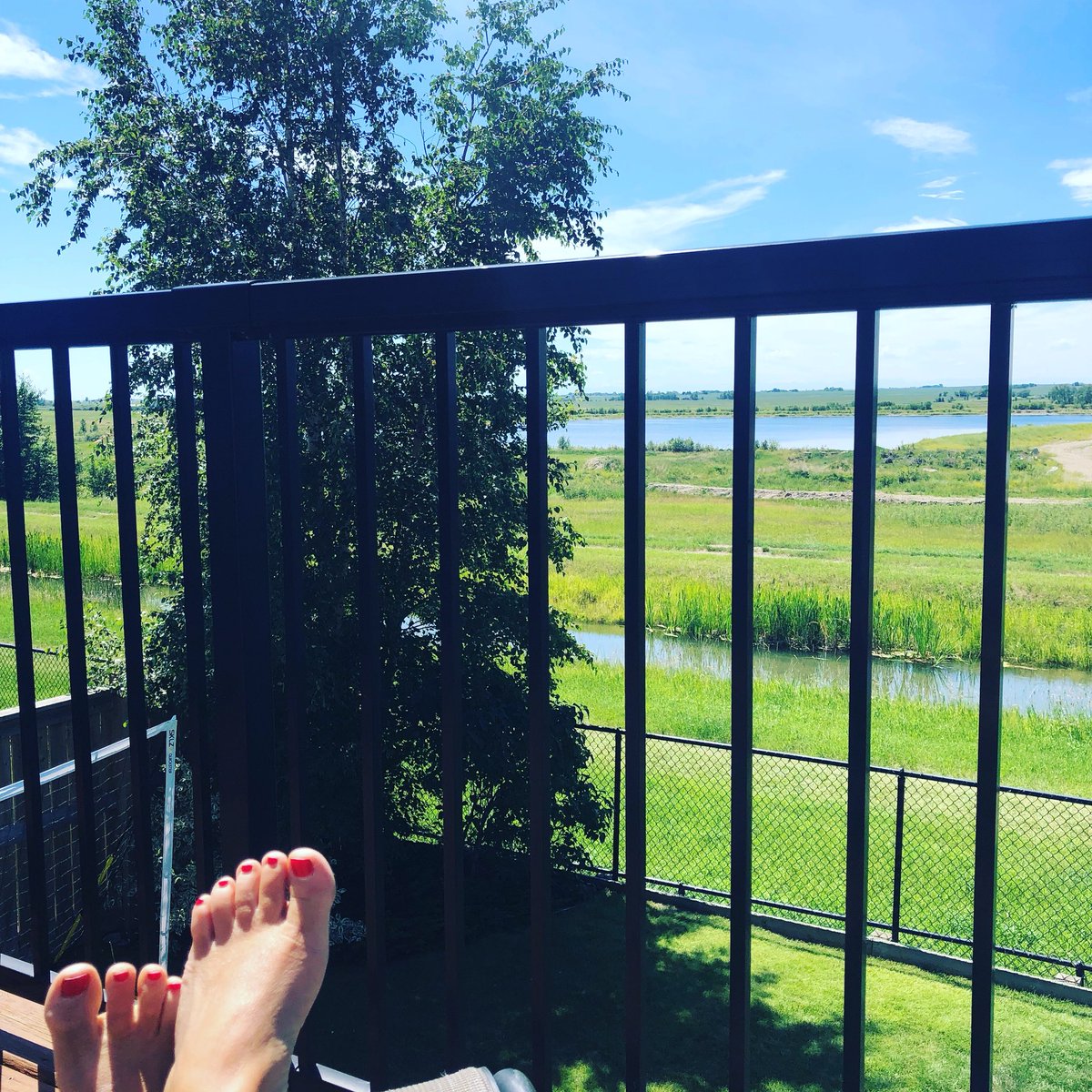 christa_aleman's tweet photo. Just catching some sun at my new listing #comingsoon #triplecargarage #views #walkout #yycre
#lovewhereyoulive
#reliable #respectful #responsive
#guidingyouhome #buy #sell #firsttimehomebuyer #house #home
#therepsgroup #remaxfirst
#yycre #realestate #house #home
#strathmore https://t.co/nGTB9KTuls