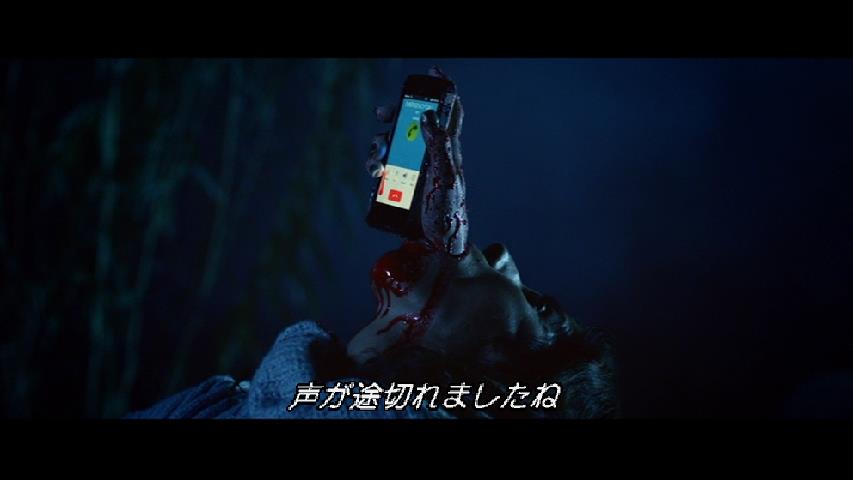 怒りくま ヴィクター クロウリー 史上最凶の怪人 かつて惨劇が起きた沼で呼んでも無いのに不死身のヴィクター復活 頭カチ割ったり抜いた腕を股間からぶち込んで貫通させたり大暴れした挙句にアッサリ退治されまた次回ってハチェットシリーズ最新作ｗ