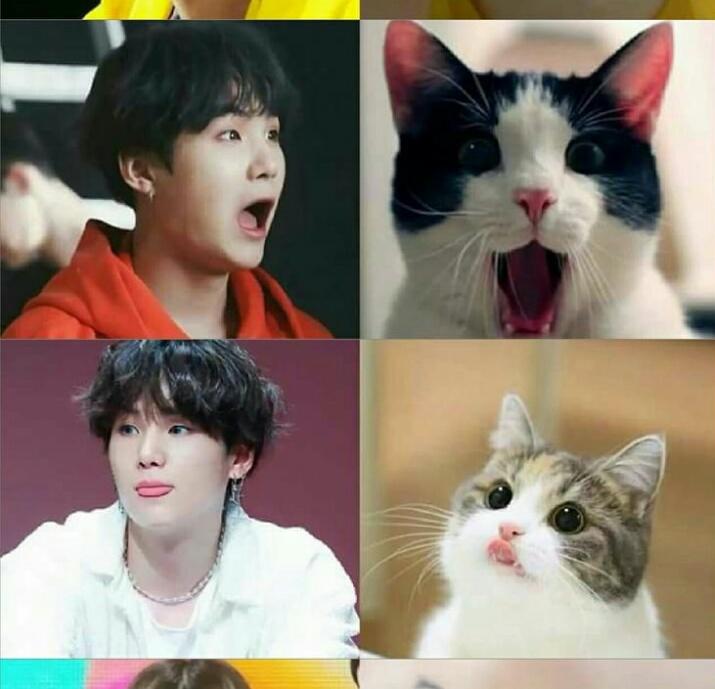 Ruby01003243's tweet photo. #TeenChoice
#ChoiceFandom
#BTSARMY
#BTSGALAXY
#USTOP
FOREIGHNALBUM https://t.co/DUUVrCPXbY