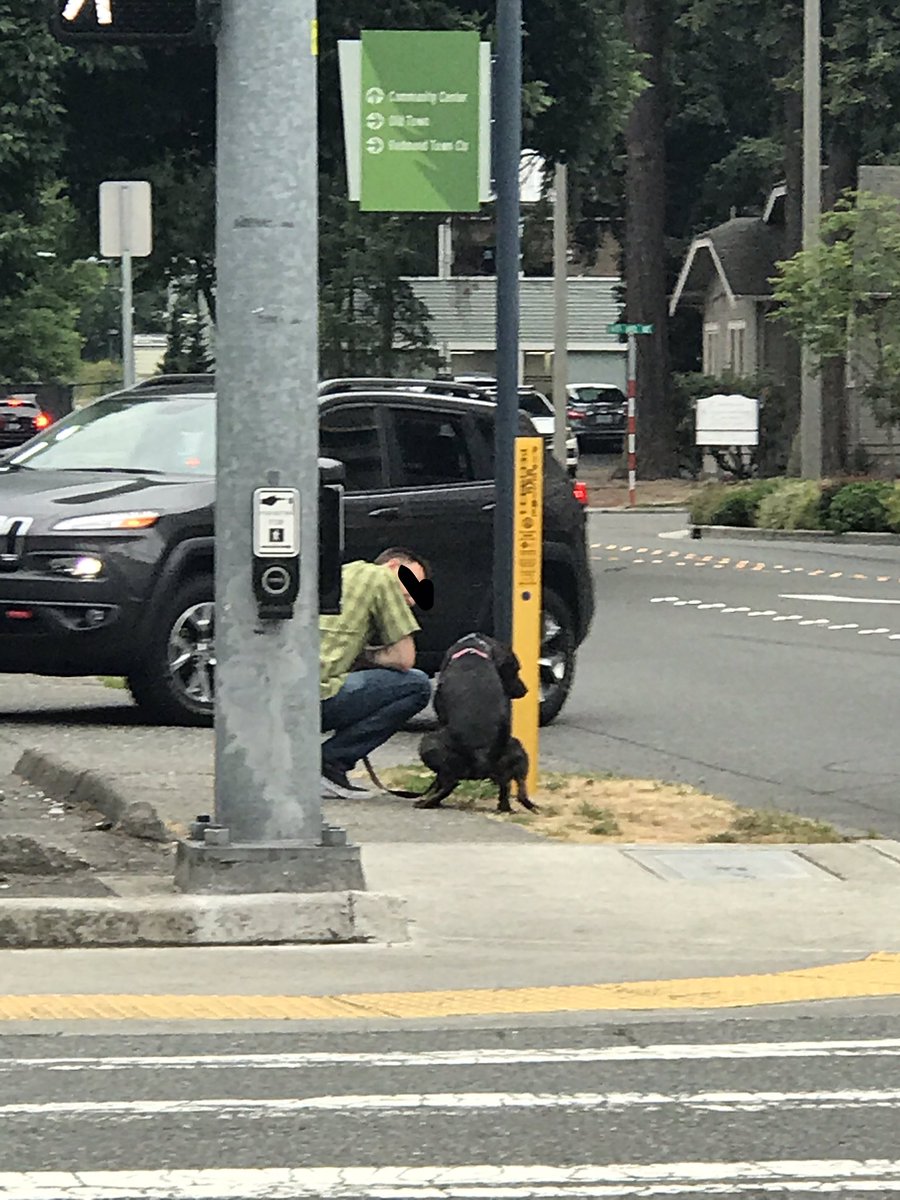 CheekyJakalope's tweet image. Dog: This is so awkward.
Dude: Here, I&apos;ll do it with you.
#EmbarrassedDogs #Camaraderie