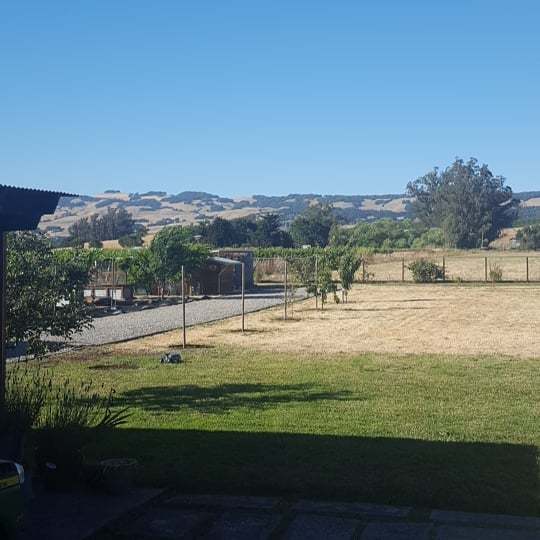 modernsettlers's tweet photo. Summer on the farm. #tomatoes #peppers #wisteria #petaluma #sonomacounty #asianpears #plums #galaapples https://t.co/pKmthMBtro