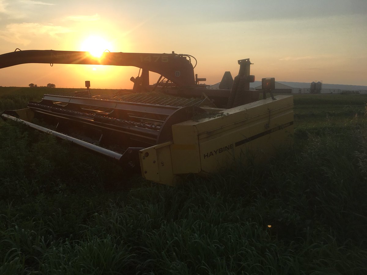 GreenwayPork's tweet photo. Brent is opening up the alfalfa field.
#secondcutting #hay #alfalfa @bbgreenway https://t.co/9sGLkh7oej