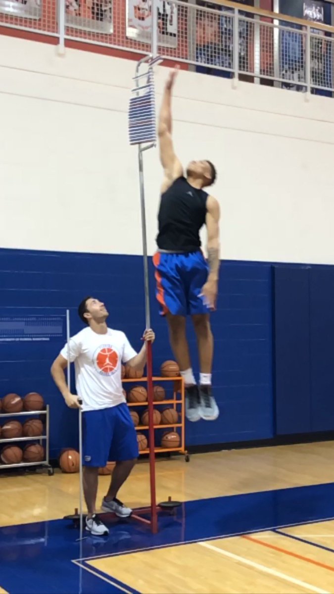 Highest Vertical Jump