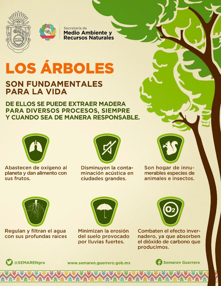 Details 48 10 recursos naturales de los árboles
