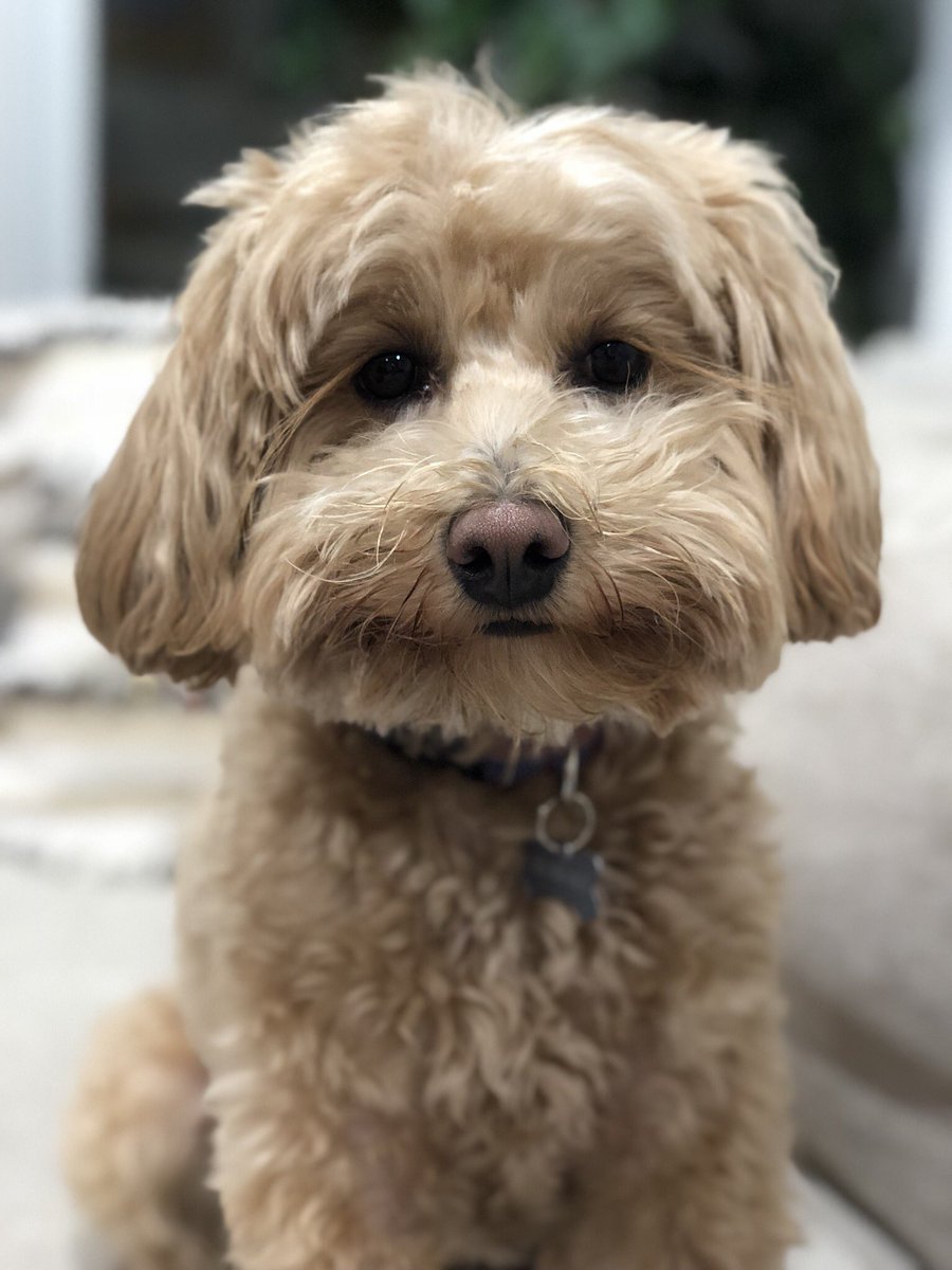 emilyfavreau's tweet image. PLEASE REGISTER TO VOTE!!!!! iwillvote.com