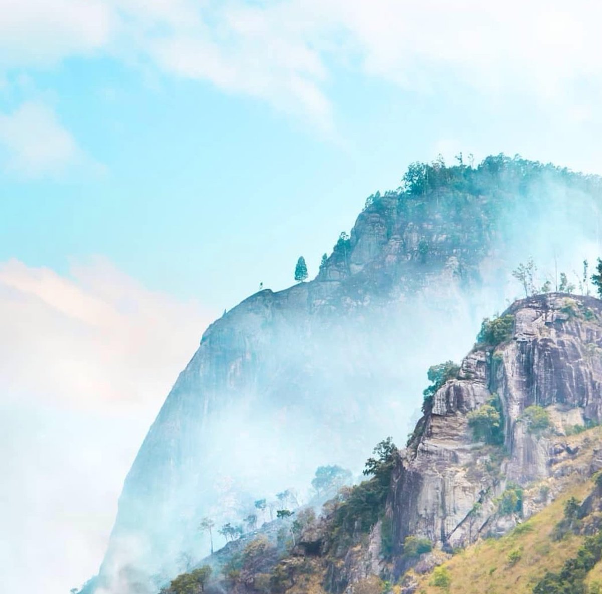 TravelFlute's tweet image. RT @NymeshWedaa: #Travel #Ella #EllaRock #SriLanka #VisitSriLanka 🍃✌