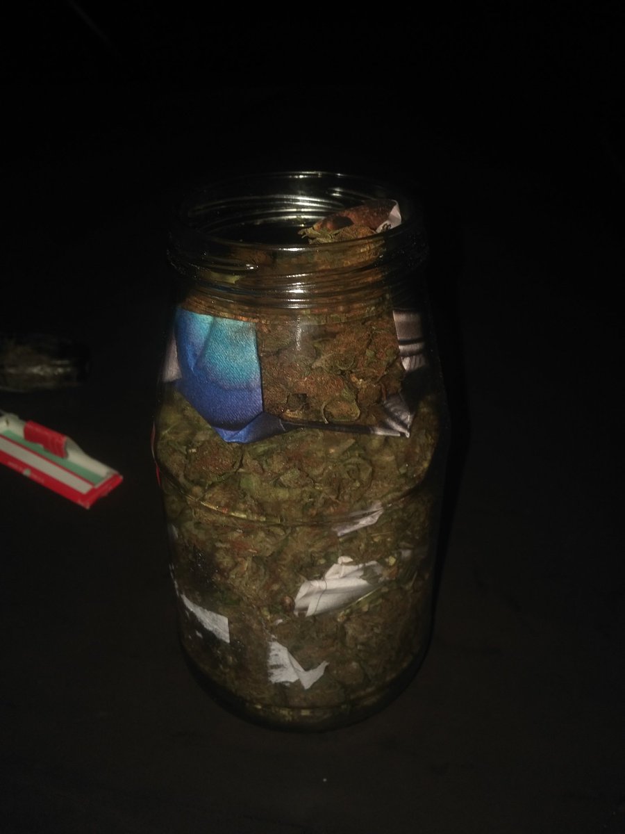 KimberleyDistr1's tweet photo. Home grown 
#420jobs
#Kster https://t.co/WyaJTyVKpw