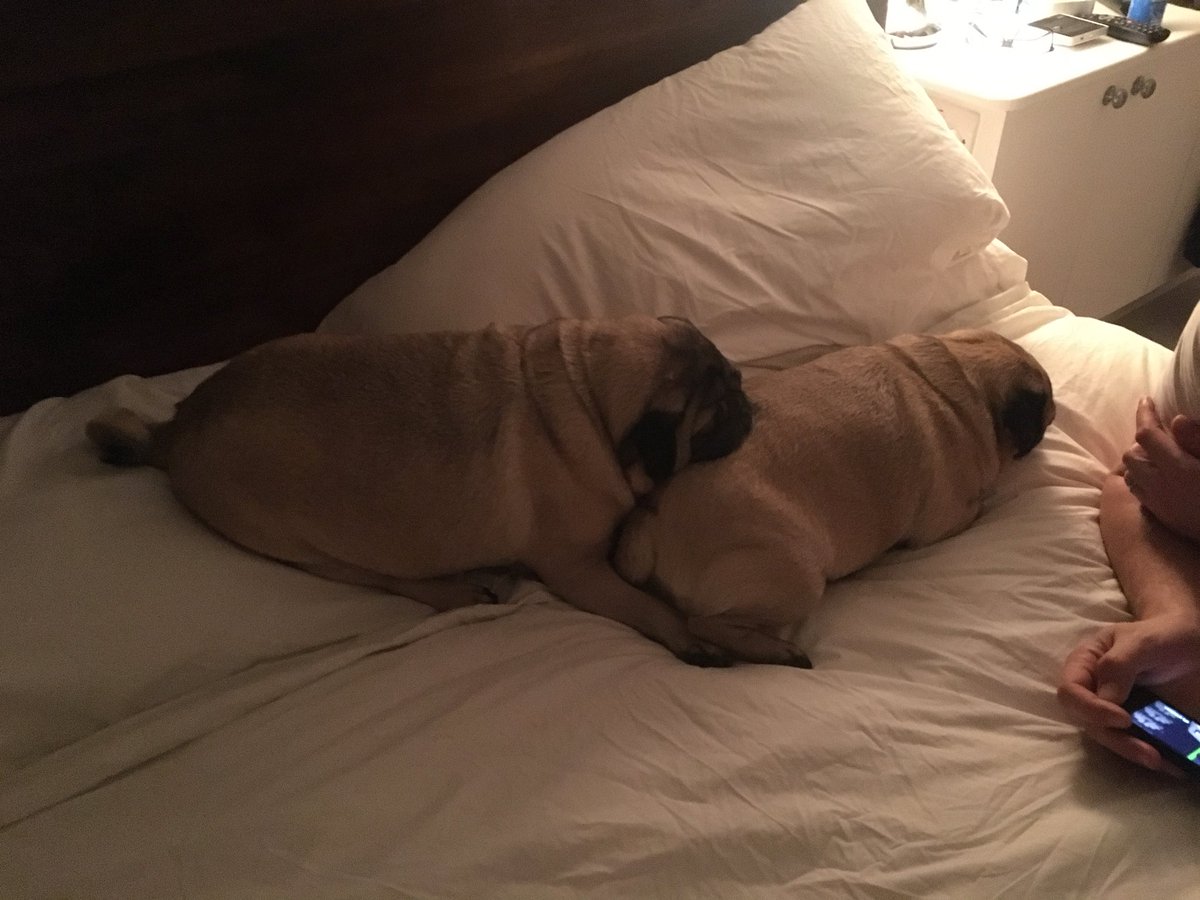 SpankandLish's tweet photo. And so to bed..... https://t.co/57E1hM3zIw