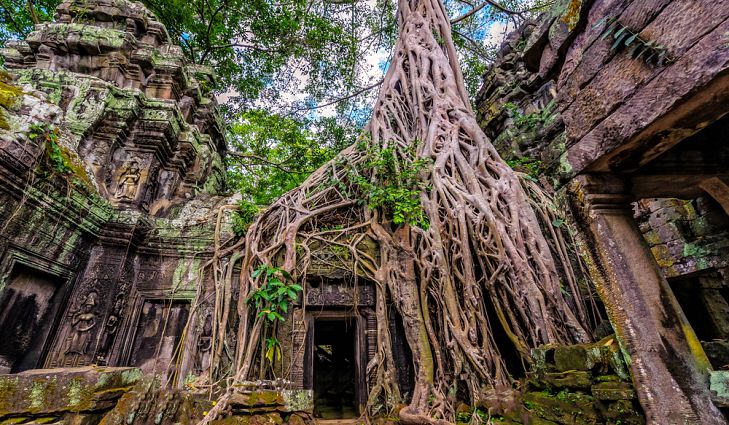 CambodiaLT's tweet image. Most of this temple is overrun by the natural vegetation with trees growing in and around the ruins making for an amazing experience. #Cambodia