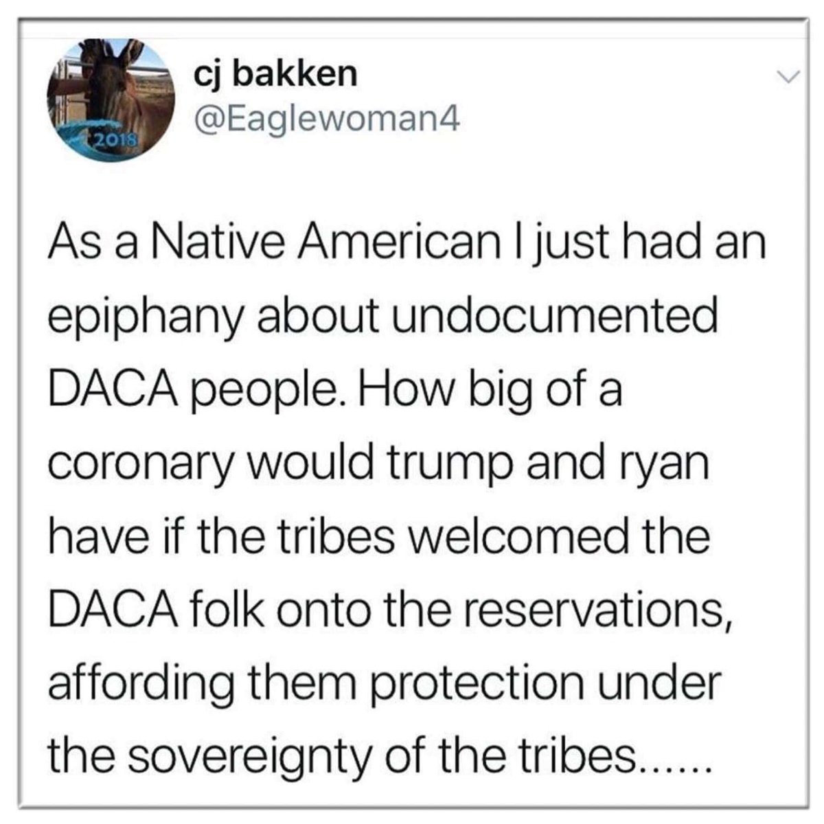 ChannaDae's tweet photo. Native Pride!! Fuck off Trump!!! https://t.co/XZTH3BasXL