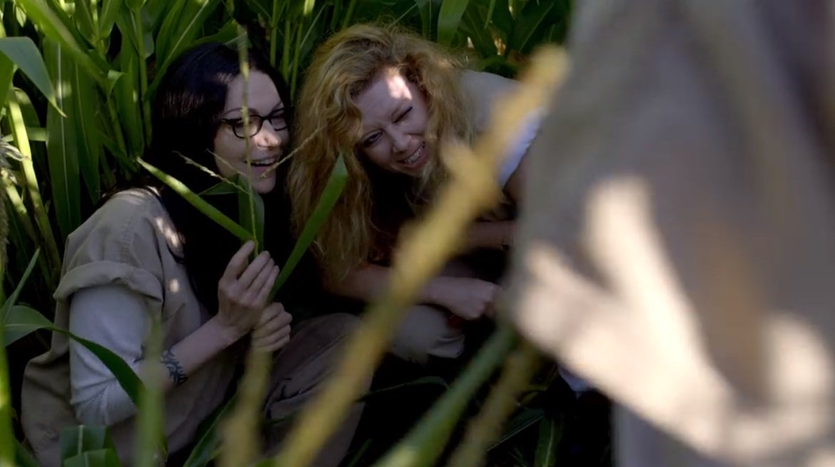 NicoAtNight7's tweet photo. Can we take a minute to talk about the cinematography of the cornfield scene? The scene was intense as Hell. But the lighting was magnificent. #Vauseman #OITNBs4 https://t.co/SCDyLFBYj1