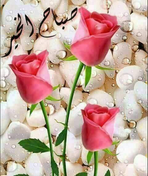 عاشق (@urkhftvtfrdjxzs) on Twitter photo <a href="/angelsmilies___/">﮼ملاك﮼الابتسامات🧚</a> <a href="/Hamsatfareda/">همسات فريده</a> <a href="/huruf___farida/">حروف</a> <a href="/huruf_farida/">#حروف_فريدة</a> @Wtn_____90 @Aleasamen11 <a href="/fr_90_ie_nd/">إدارة_ندى_الحرف✒...</a> <a href="/sarh_adabi2/">#الصرح_الأدبي #مملكة_الأدب</a> @az_ff_ #ملهمتي
صباحي عشق
لـوجهك وتفاصيلك
لصوتك ل لون عينيك
لرقة حبك ولذة حديثك
ل غمزات ابتسامتك
صباحي انت وكل ماأعشقه بك ❤
صباح #عاشق مجنون
مصاب ب همسات #فريدة
#اسمرك <a href="/angelsmilies___/">﮼ملاك﮼الابتسامات🧚</a> <a href="/Hamsatfareda/">همسات فريده</a> <a href="/huruf___farida/">حروف</a> <a href="/huruf_farida/">#حروف_فريدة</a> @Wtn_____90 @Aleasamen11 <a href="/fr_90_ie_nd/">إدارة_ندى_الحرف✒...</a> <a href="/sarh_adabi2/">#الصرح_الأدبي #مملكة_الأدب</a> @az_ff_ #ملهمتي
صباحي عشق
لـوجهك وتفاصيلك
لصوتك ل لون عينيك
لرقة حبك ولذة حديثك
ل غمزات ابتسامتك
صباحي انت وكل ماأعشقه بك ❤
صباح #عاشق مجنون
مصاب ب همسات #فريدة
#اسمرك