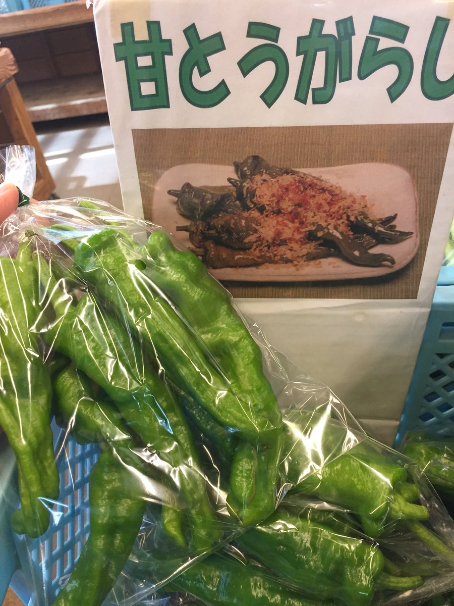 辛くない唐辛子 甘唐辛子 ししとうのように食べられます 産直ごーごー 千葉県 産直 産地直売所 情報満載
