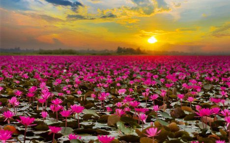 #همسه_باب_التوبه
قال الله تعالى ( وَلاَ تَحْسَبَنَّ اللّهَ غَافِلاً عَمَّا يَعْمَلُ الظَّالِمُونَ )
قال سفيانُ بن عُيَيْنةَ : هي تَسليةٌ وتصبير للمَظلومِ، وتَهديدٌ للظّالمِ.
