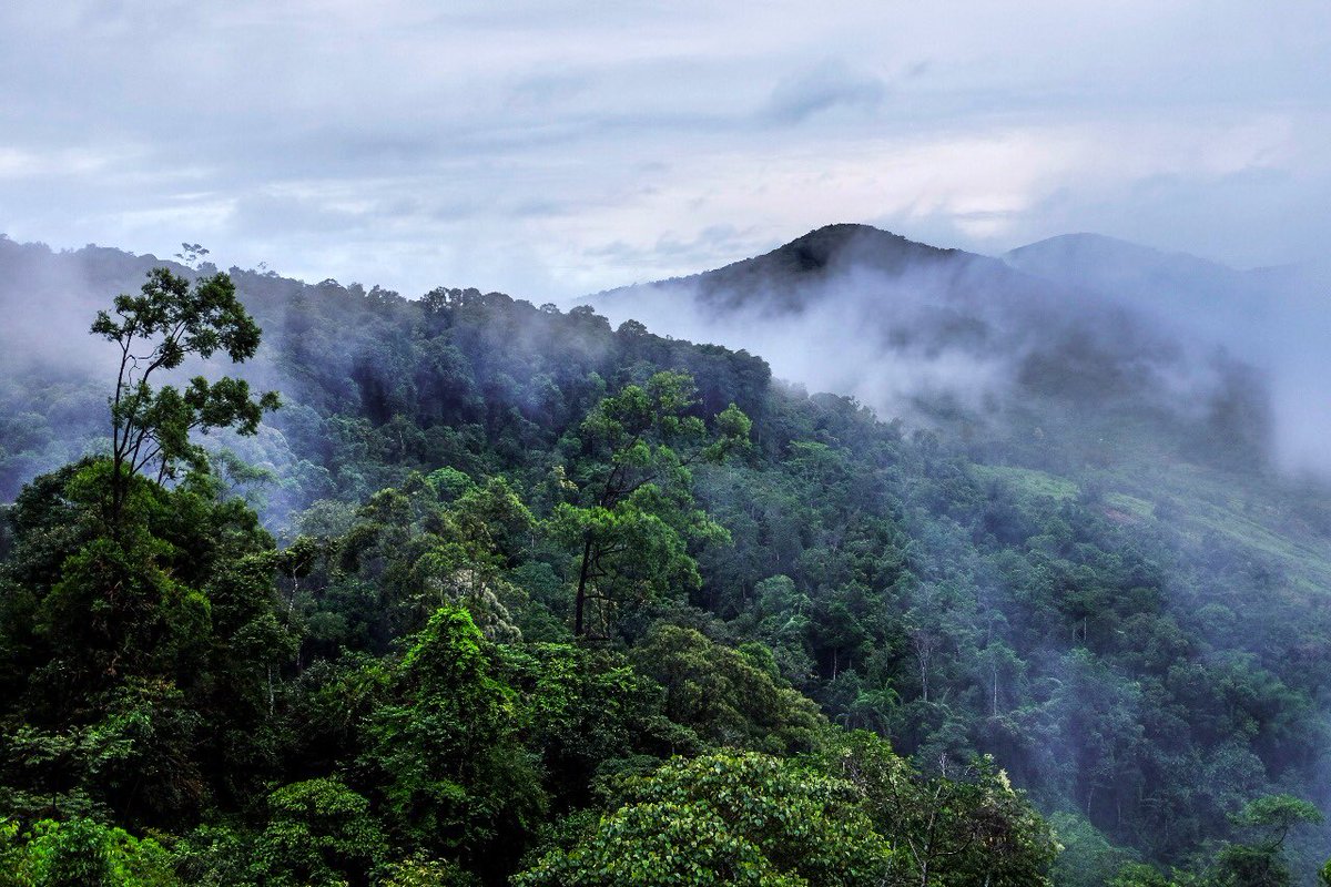 Hutan Itu Indonesia On Twitter Tahukahkamu Taman Nasional