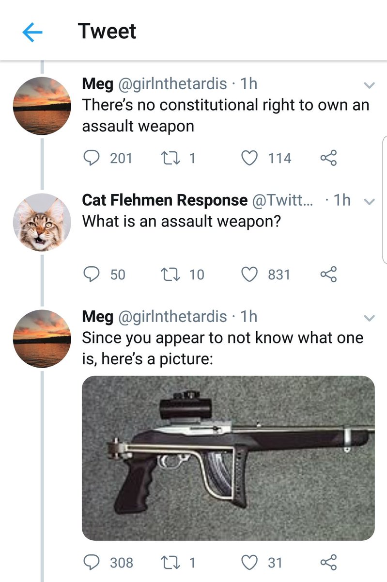 Ehehron1327's tweet photo. This is an example of the perpetually moronic folks we have to deal with, and sadly many "representatives" dont know much more than this either...
#gunsense #GunControlIsControl #2A #copolitics #coleg https://t.co/Vj55NBFYeP