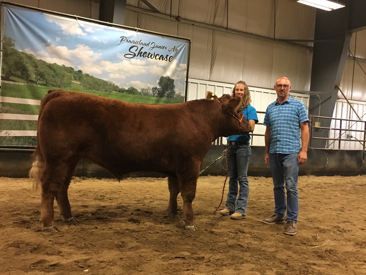 uppityguy101's tweet photo. Another 4H year in the books!! #4Hsask #saskbeef. Thanks to Steve D and #discovery-ford for buying Katherine’s steer. https://t.co/yEFtUD4A6p