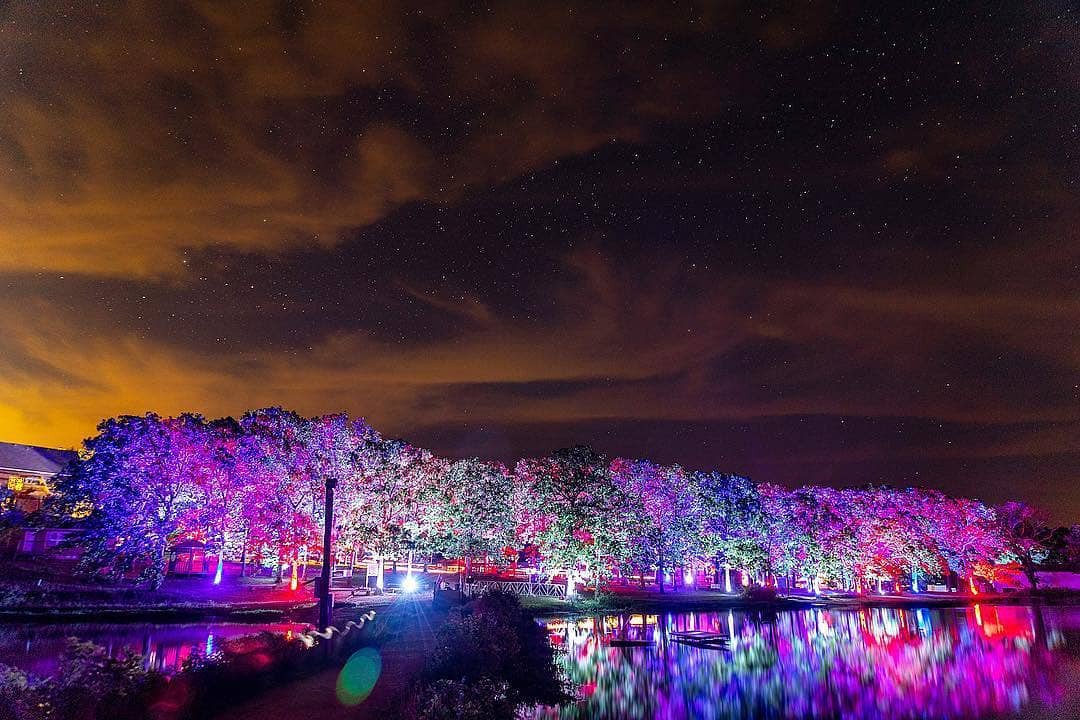 Dancefestopia's tweet photo. Less than 2 months til DFT... should we celebrate with a ticket giveaway? RT &amp; Tag someone who deserves the Emerald City experience... enough ❤❤ unlocks a giveaway tomorrow!!!
https://t.co/1hMKS3SpzC https://t.co/u7hHNdx6tt