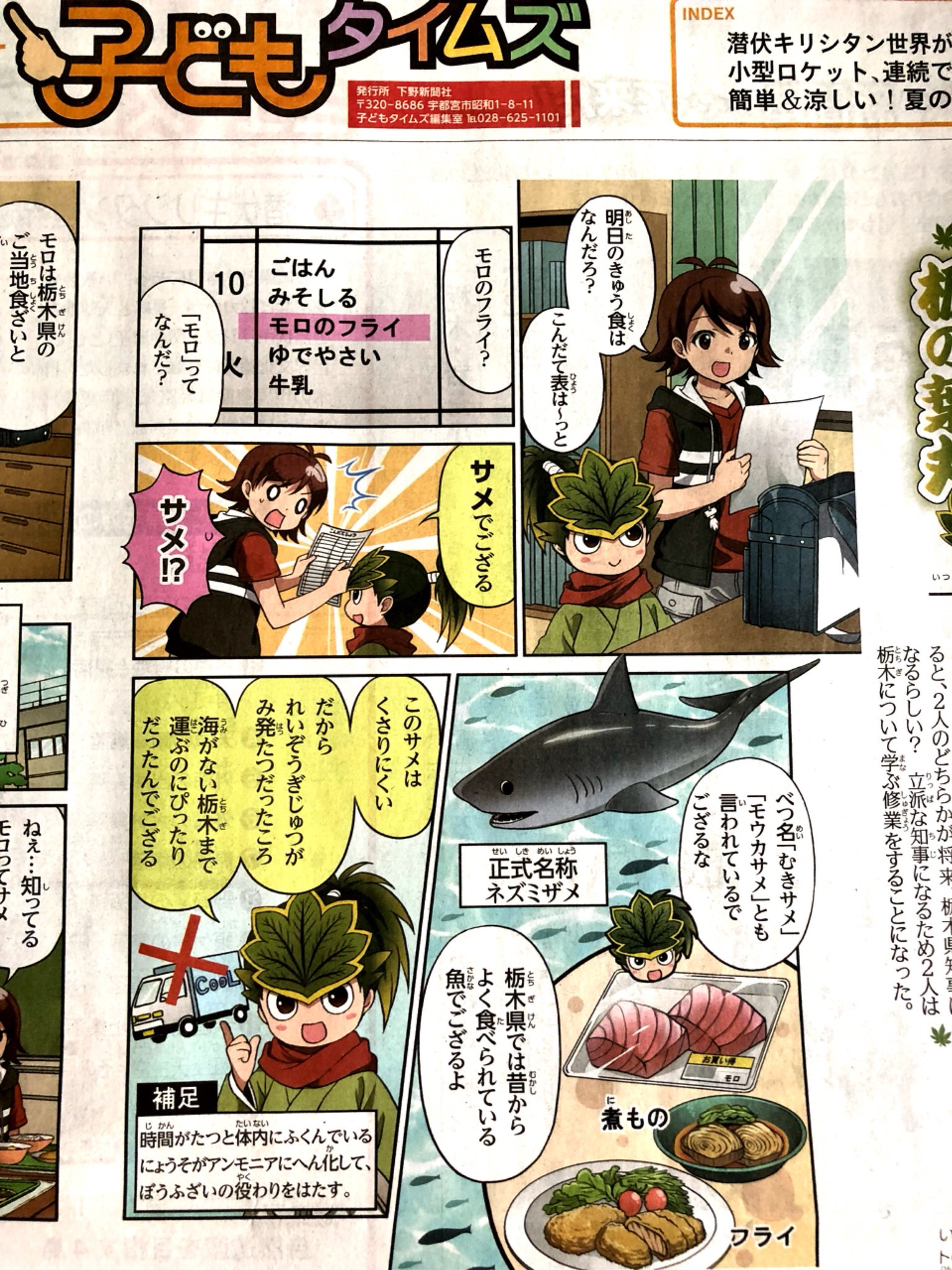 一葵さやか ちなみに モロ は海がある県ではほとんど食べないという 新鮮なお魚いっぱいありますもんね W W ｻﾗｻﾗ Twitter