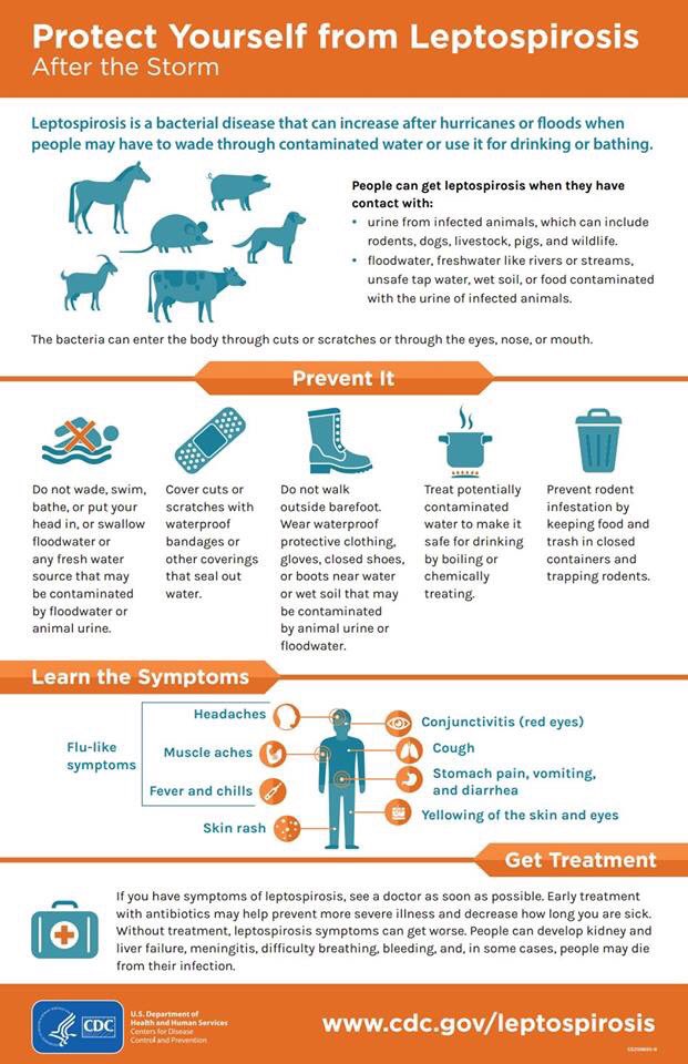 ustposacdo's tweet photo. Please help us spread awareness on the prevention of leptospirosis. Thank you. https://t.co/s7zv0CiNQb