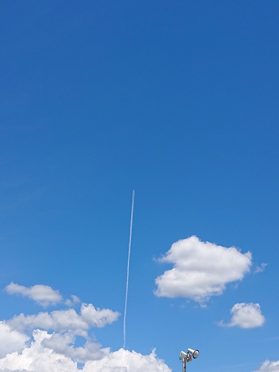 とっても綺麗な青