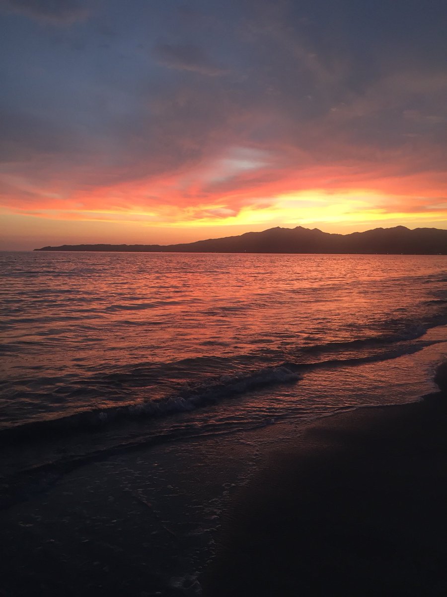 Paty Pérez tweet media