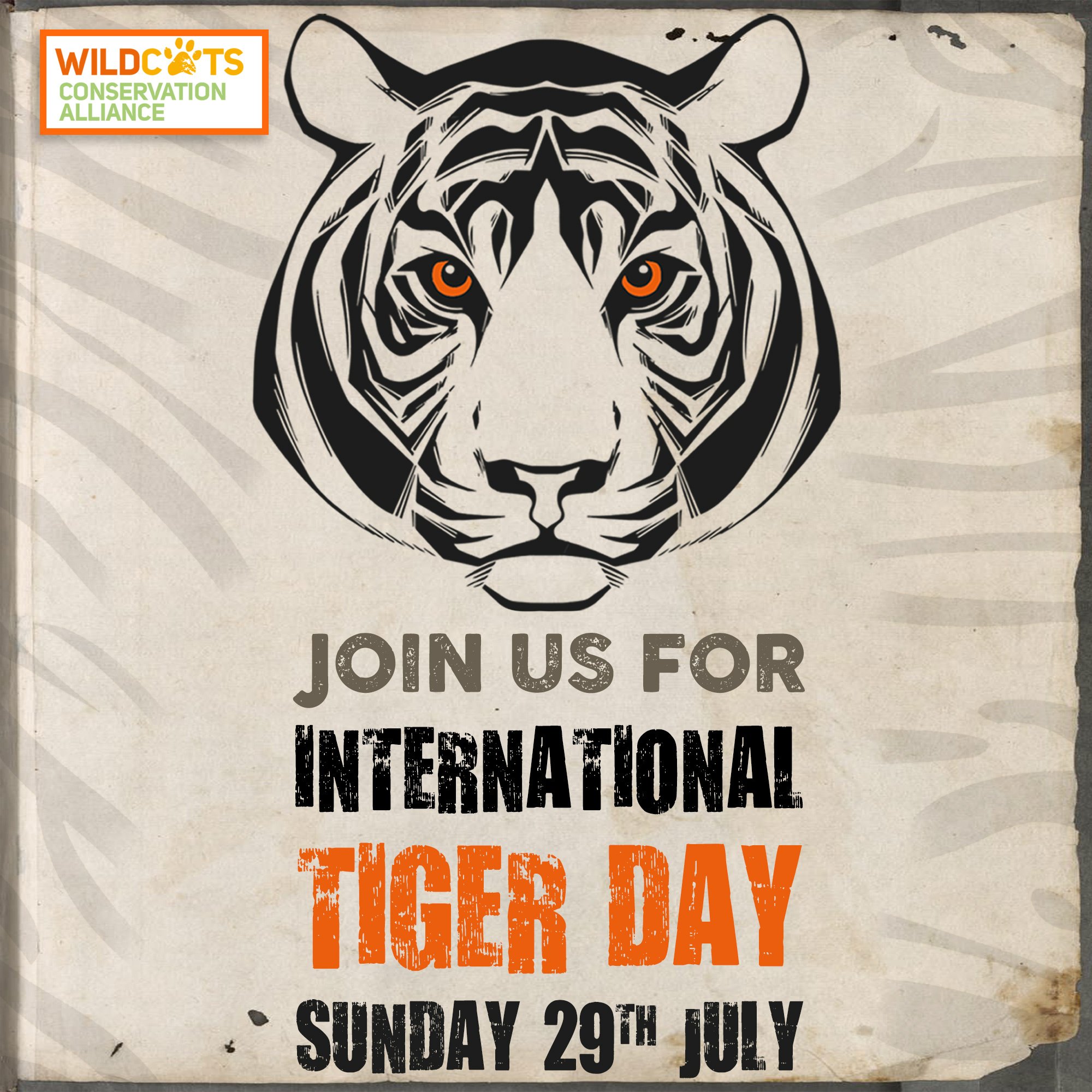 Drayton Manor Ø¹Ù„Ù‰ ØªÙˆÙŠØªØ± Who Is Joining Us For International Tiger Day With Lots Of Fun Activities Taking Place You D Be Mad To Miss It Tigerday Https T Co 8rsulyb0zq Https T Co Oi0t3x0mpb ØªÙˆÙŠØªØ±