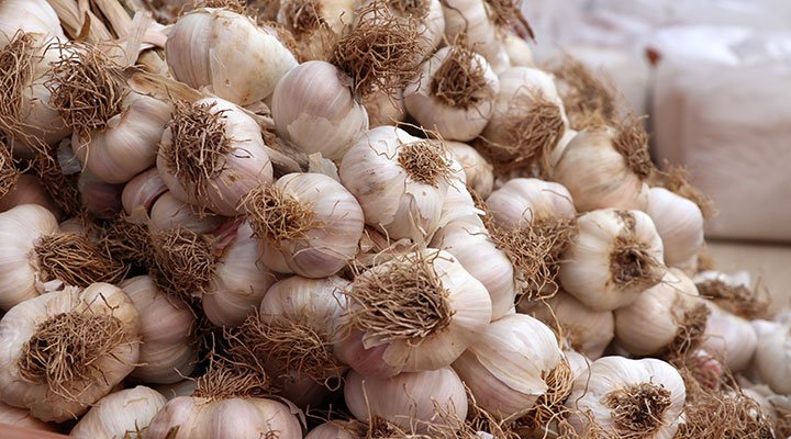 BirGun_Gazetesi's tweet photo. Patates, soğan ve limonun ardından: Sarımsakta kriz kapıda
https://t.co/3LLoTpQUP7 https://t.co/xSkota6BD0