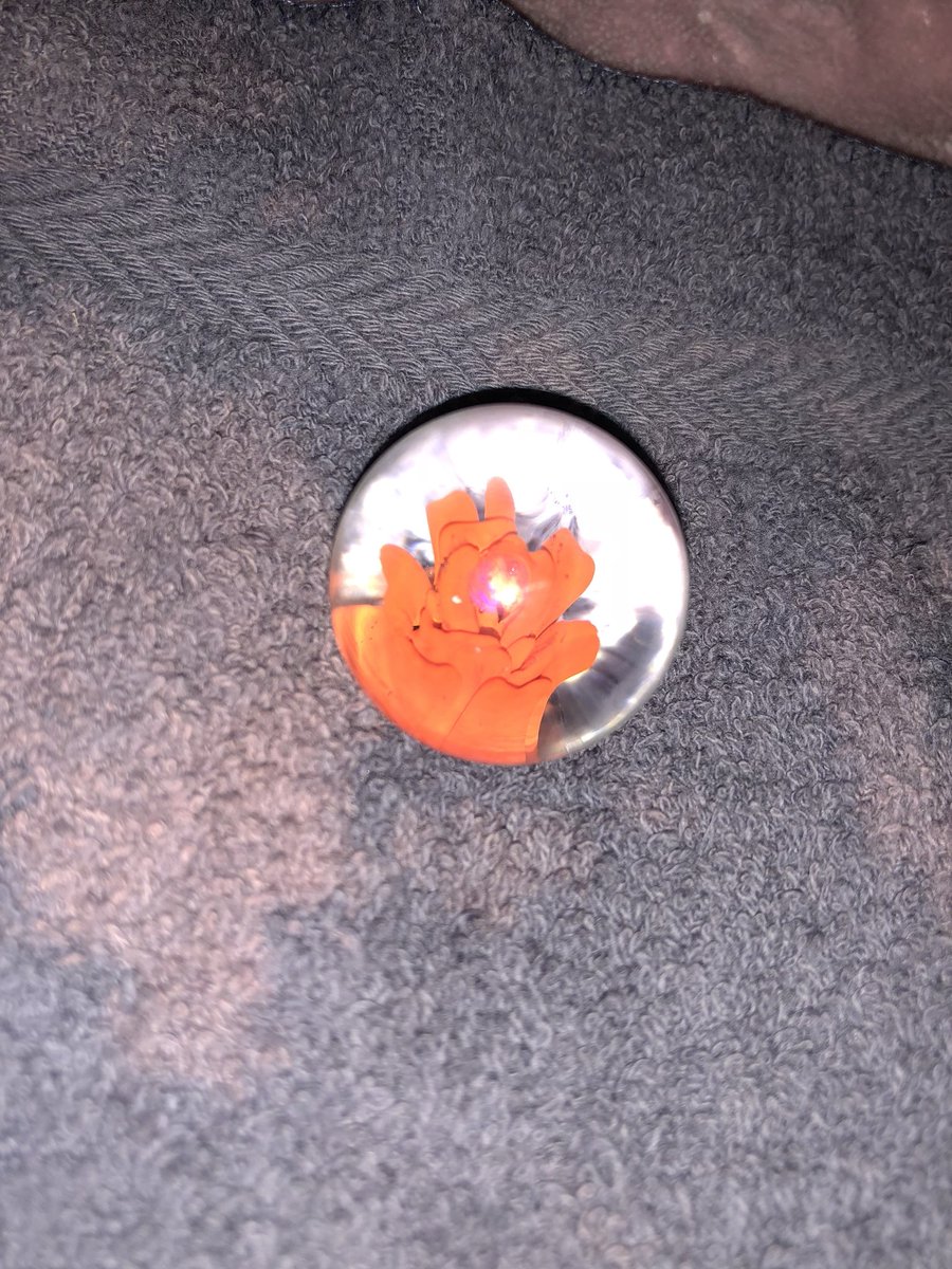 RedDaisy312's tweet image. My flower with a gem in the center. Thank you @IntellectShorty