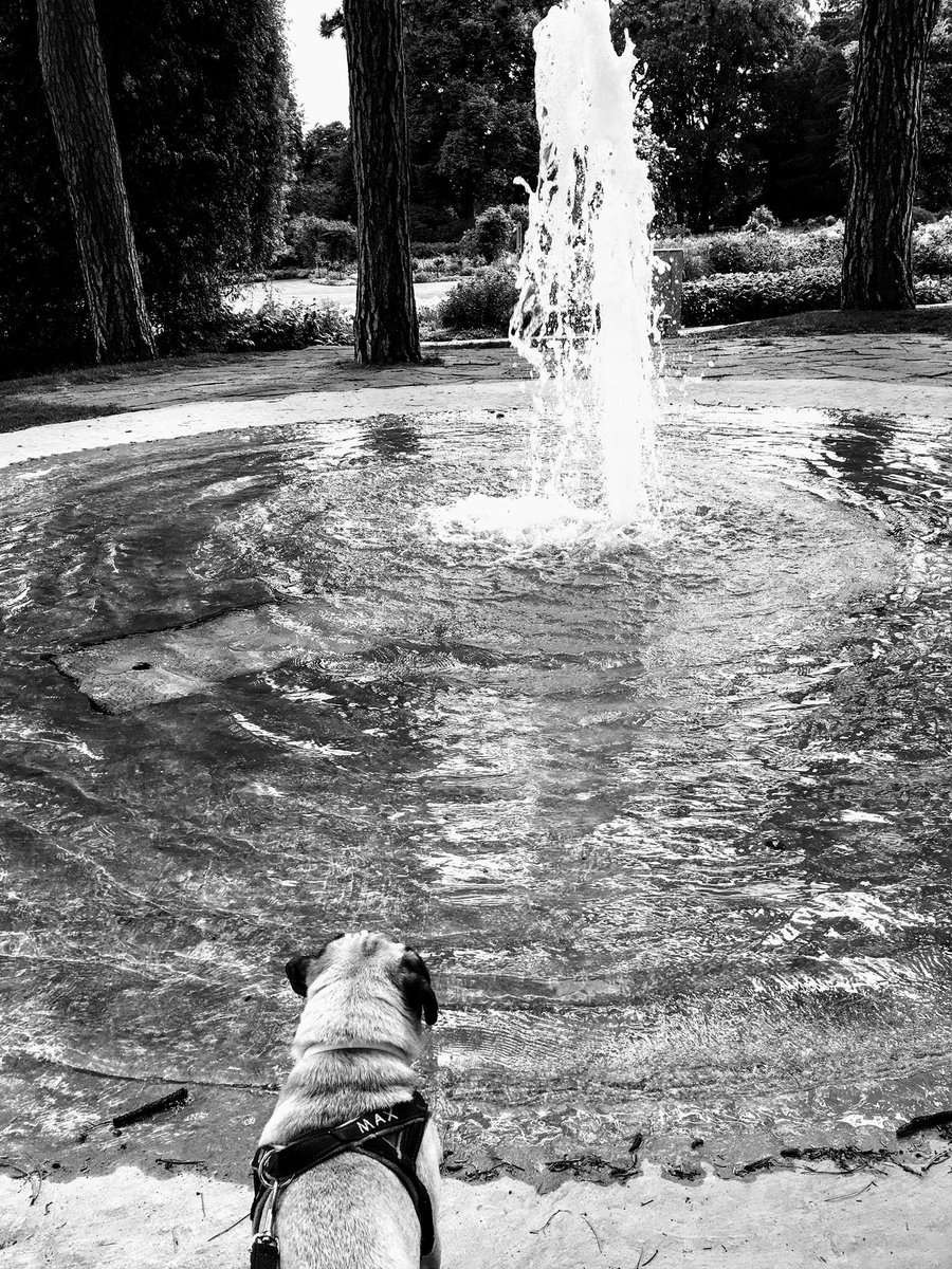 MaxVomJohannisb's tweet photo. Das war schön im Westfalenpark. Neulich. #max #retromops https://t.co/01lkbOA2hW