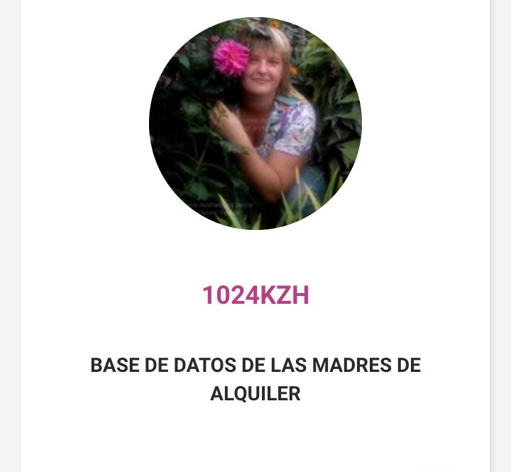 gemmabe7's tweet photo. Base de datos de las madres de alquiler... Mujeres numeradas como ganado donde puedes elegir...Te dicen si están ahora mismo en proceso o no... https://t.co/OJdpHmtaF4