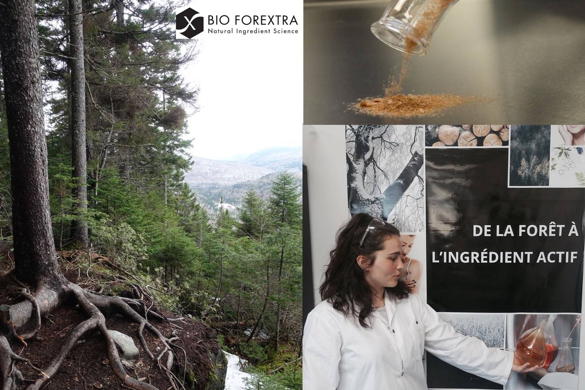 Maureen, étudiante en 2ème année de DUT Génie Biologique option Industries Agroalimentaires et Biologiques à l'<a href="/IUTCreteilVitry/">IUT de Créteil-Vitry</a>, réalise son stage de fin d’études au sein l'entreprise <a href="/BioForeXtra/">Bio ForeXtra inc.</a>, située à Lévis (Canada).
#stage #DUT #international #Quebec