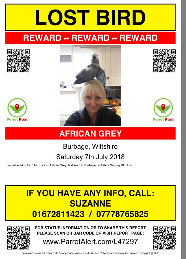 suzanne_vt's tweet photo. @GraftonParish just sharing this in case any walkers see or hear an African Grey parrot, lost Burbage on 7th July in the evening, last sighted 8th July afternoon in Burbage #parrot #missing https://t.co/PvkmzhkirT