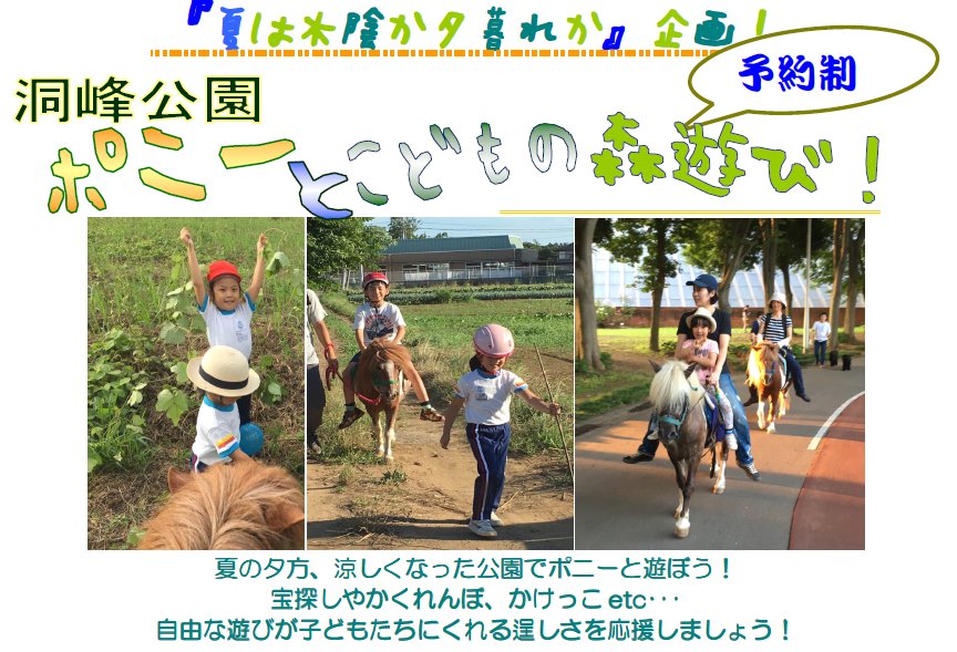 夏の夕方の公園