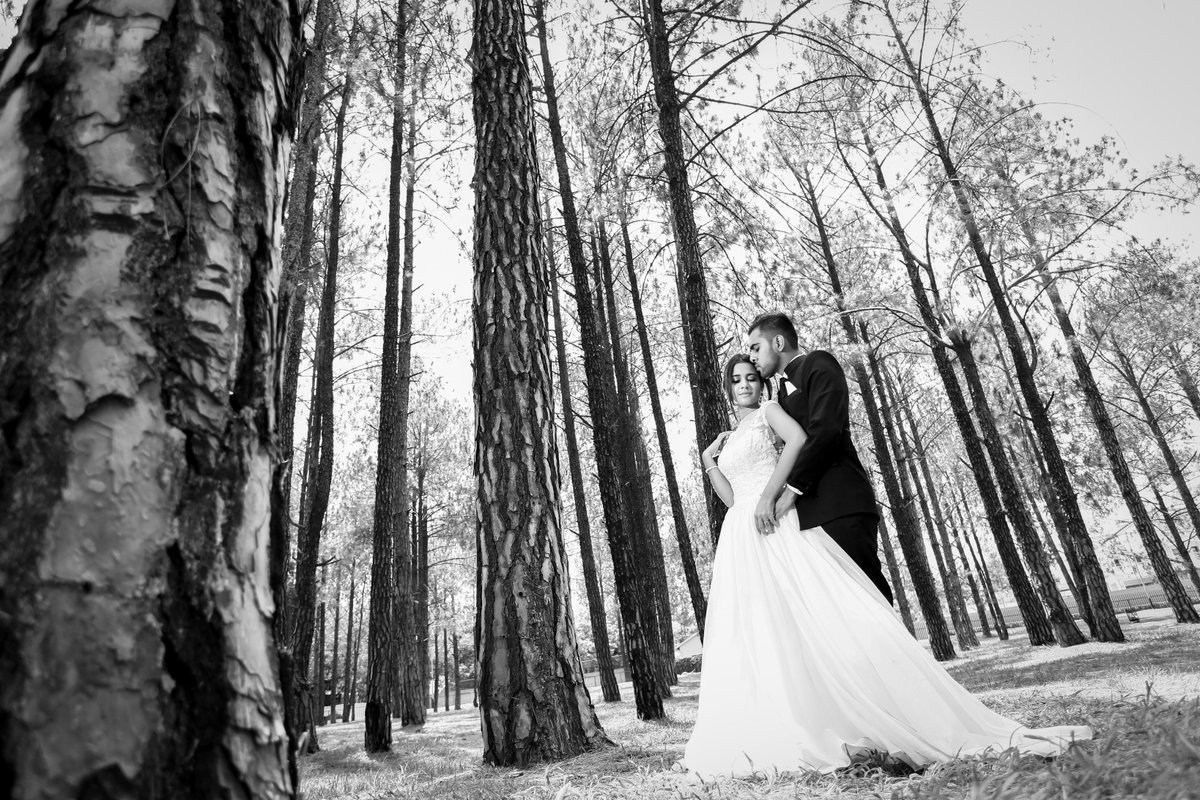 one2onegroupSA's tweet photo. "Choose Courage. Choose Strength. Choose Forgiveness. Choose Love. Choose Joy." #one2oneweddings #one2onegroup #o2o #weddings #ChooseDay #weddingphotography #photography #canonsa #liveforthestory #couple #forest #weddingmoments #weddinginspiration #potd @CanonRSA https://t.co/glqLaZGkx6