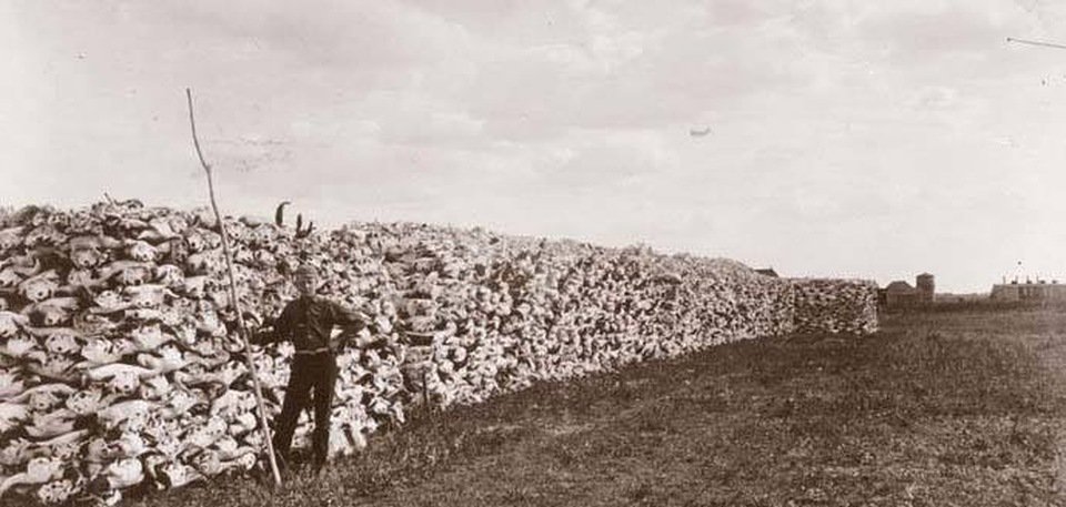This is near the rail tracks in Saskatoon, 1890s. Just the skulls to be shipped to Montreal ports and then to London to make bone china.  #learnyourfuckinghistory