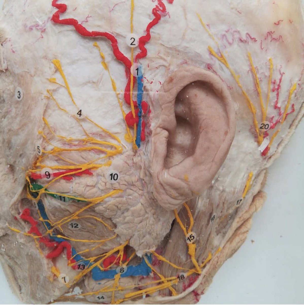 решение самостоятельных