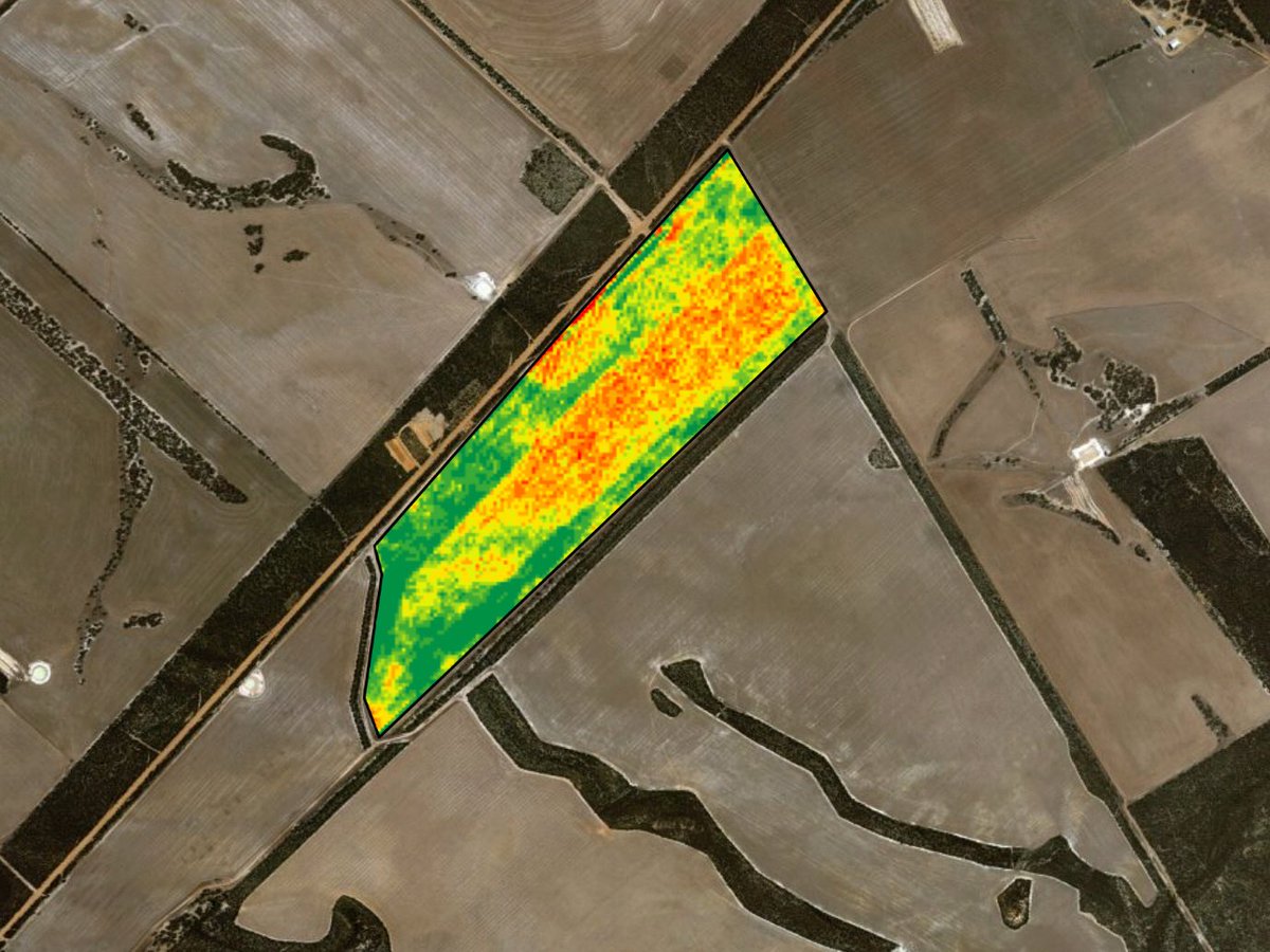 New echelon NVDI biomass image is showing interesting stuff. this paddock was half summer sprayed the rest 18 days later. Sown 3 may dry image 26 June very little rain between no fall over 3 mm #timingeverything