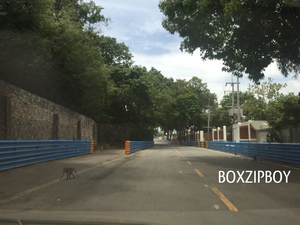 Boysetup's tweet image. เตรียมพร้อมครับ #ทีมลิงspeed วันนี้ที่บางแสน 

#สนามสามมุข
#บางแสนRacing
#BangsaenGrandPrix2018