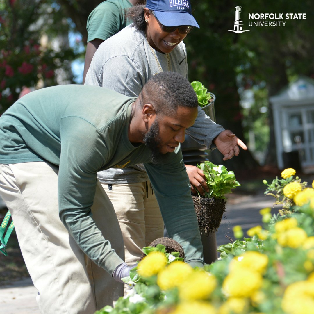 Norfolkstate's tweet photo. Sometimes you have to stop and smell the flowers, but they must be planted first! Thank you to our amazing groundskeepers who are working hard to keep Norfolk State beautiful for our students! #nsusummer #flowers #norfolkstate https://t.co/WeVpX8MXFH