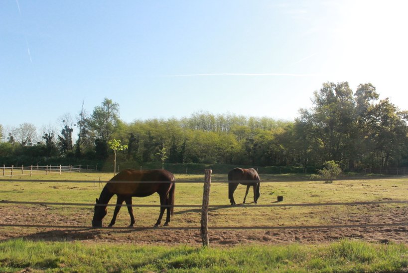 staybler's tweet photo. Venez découvrir le Domaine du Plantey idéalement situé à 15 minutes de Bordeaux où vous serez logés dans un T2 avec possibilité de prés pour vos chevaux pour seulement 20€ par nuit !
https://t.co/GBofDkezid https://t.co/l8NHwBl0ck