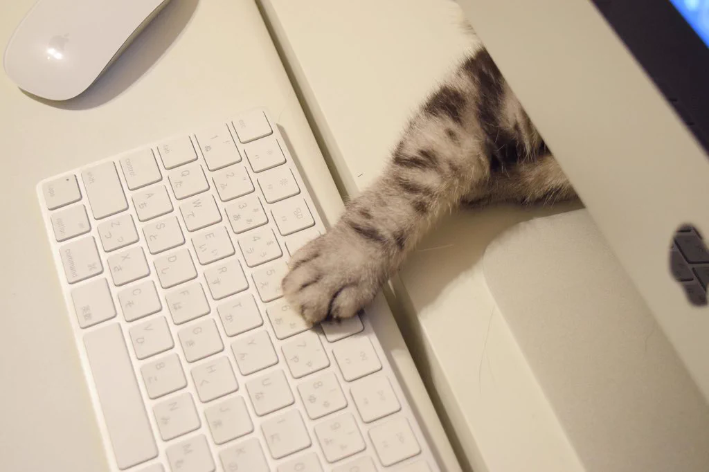 猫の手も借りたい？ただし実際に猫の手を差し出されると作業効率が落ちまくるｗｗｗ
