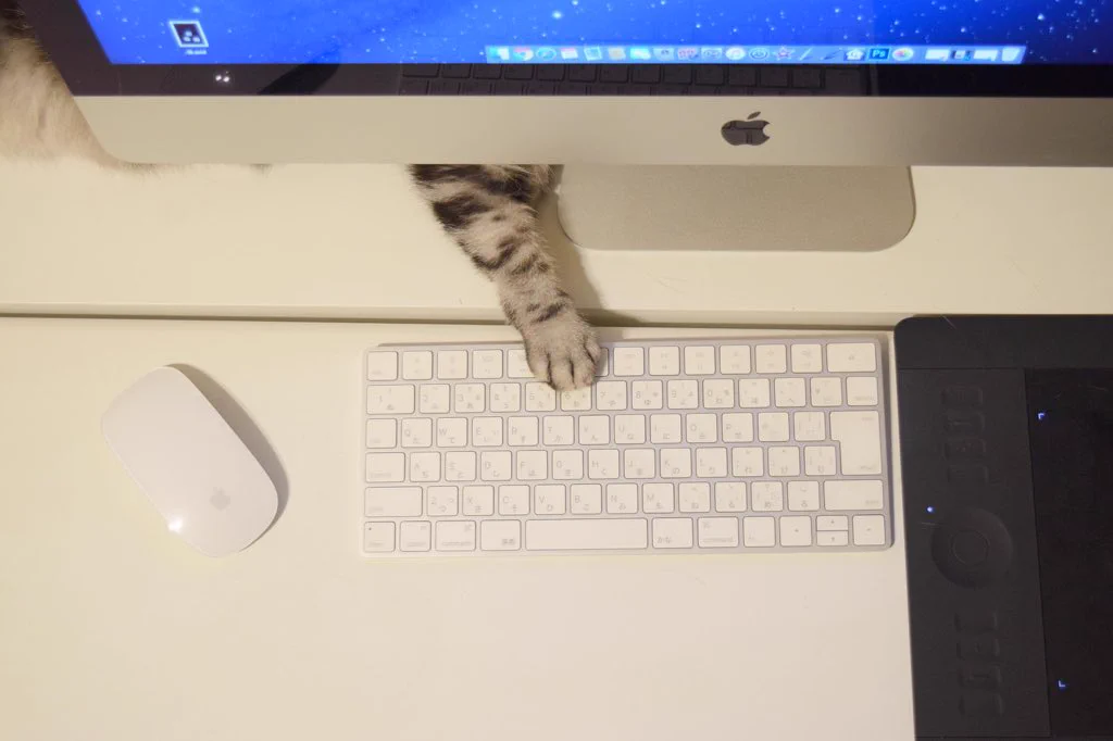 猫の手も借りたい？ただし実際に猫の手を差し出されると作業効率が落ちまくるｗｗｗ
