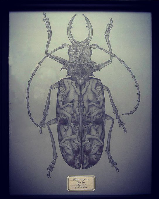 「採集された地獄」
2011年
カラーケント紙、鉛筆

2011年5月 渋谷 Bunkamura Gallery 「eros/thanatos 生と死の幻想」展にて展示

#art #monochrome #pencil #pencilart #pencildrawing #鉛筆画 #drawing #erotic #eroticart #eros #thanatos #幻想 #BunkamuraGallery #標本 #地獄 #少年 