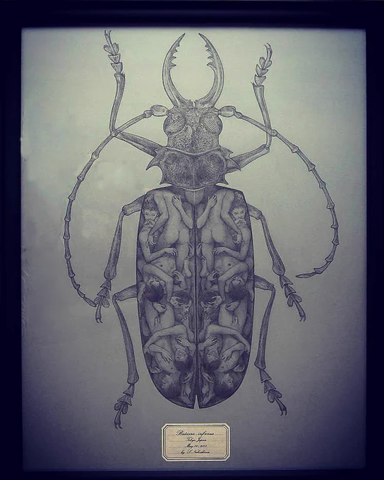 「採集された地獄」
2011年
カラーケント紙、鉛筆

2011年5月 渋谷 Bunkamura Gallery 「eros/thanatos 生と死の幻想」展にて展示

#art #monochrome #pencil #pencilart #pencildrawing #鉛筆画 #drawing #erotic #eroticart #eros #thanatos #幻想 #BunkamuraGallery #標本 #地獄 #少年 
