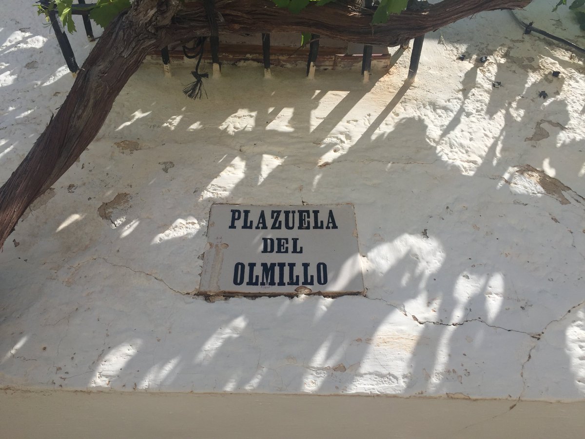 SolissSeguros's tweet photo. 🌳Historias del #ProyectoOlmo: Cuevas de Velasco (Cuenca) recupera un olmo para su plaza, después de ver morir en los años 90 su inmenso ejemplar, presente al menos desde 1752, según nos cuenta D. Antonio Ballesteros, cronista del pueblo con 90 años de edad. ❤ https://t.co/lfe2yYCqFE