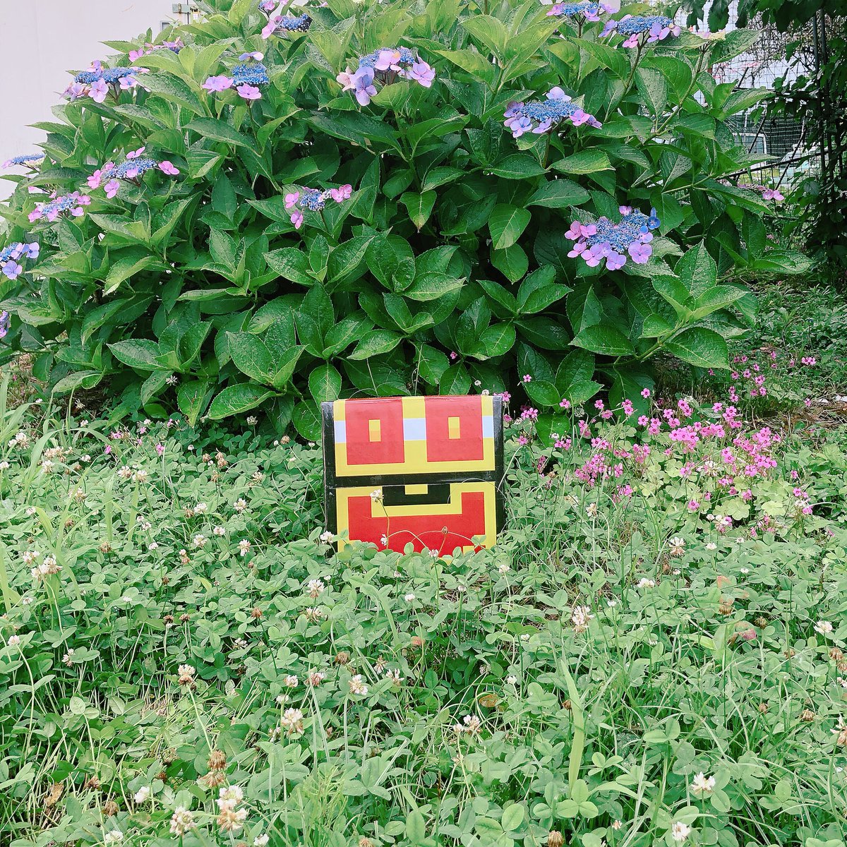 ____mizuki's tweet photo. 宝箱発見！

多分…動かないやつ…🤔 https://t.co/vapa8iyil8